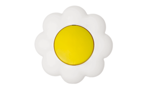 Flower (yellow / white)